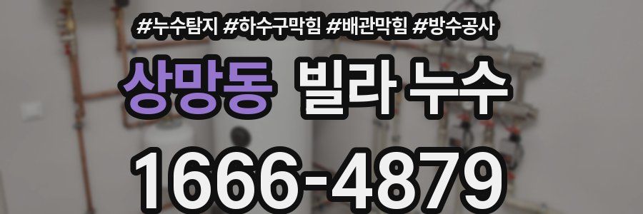 상망동 빌라 누수