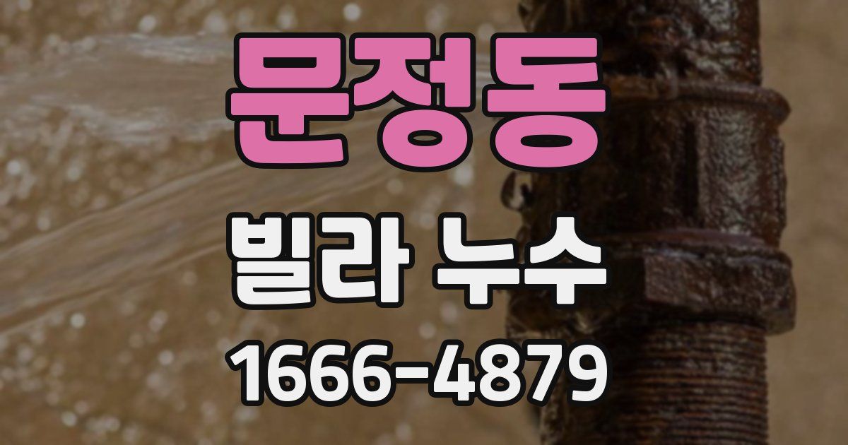 문정동 빌라 누수