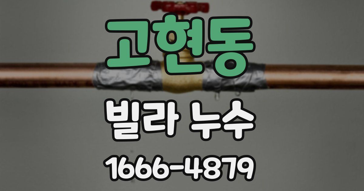 고현동 빌라 누수