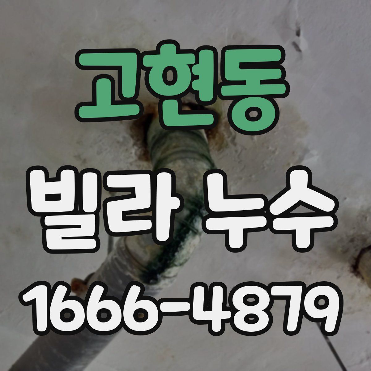 고현동 빌라 누수