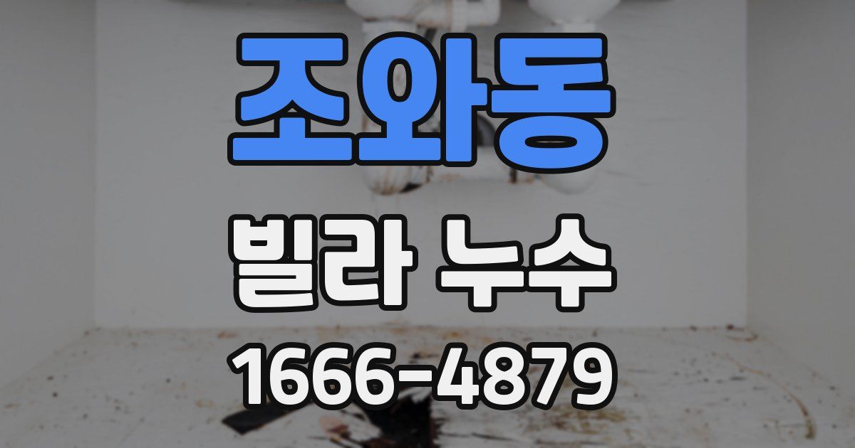 조와동 빌라 누수