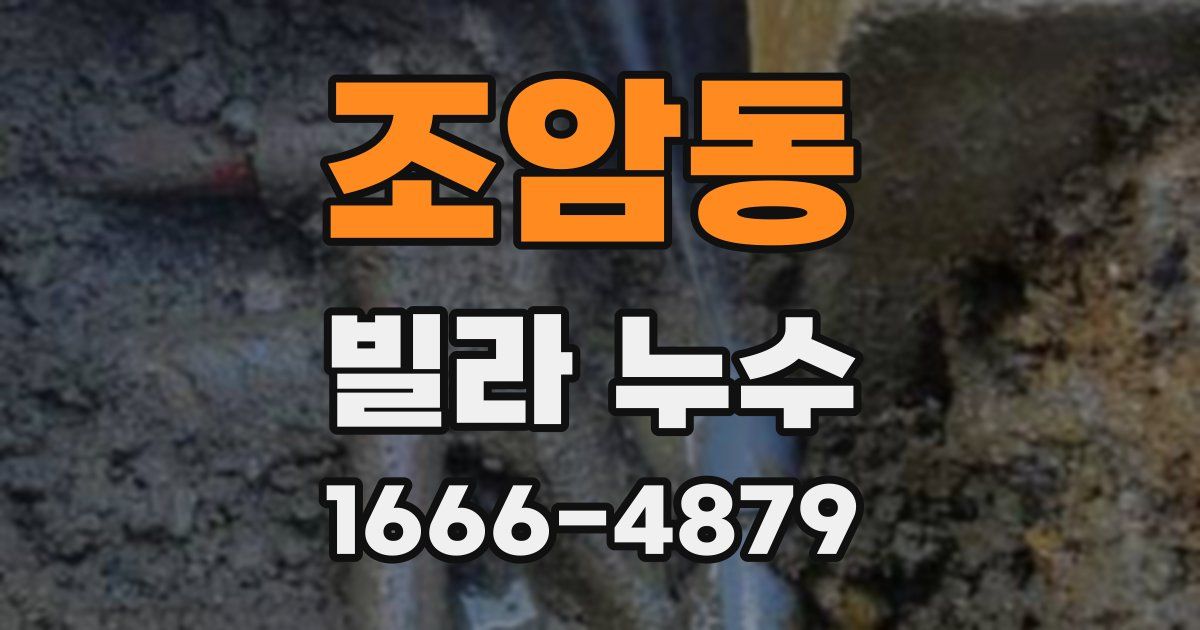 조암동 빌라 누수