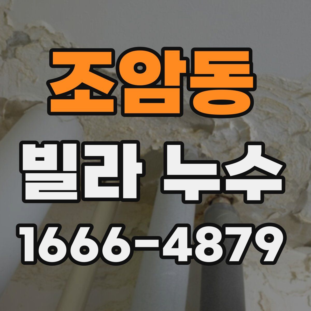 조암동 빌라 누수