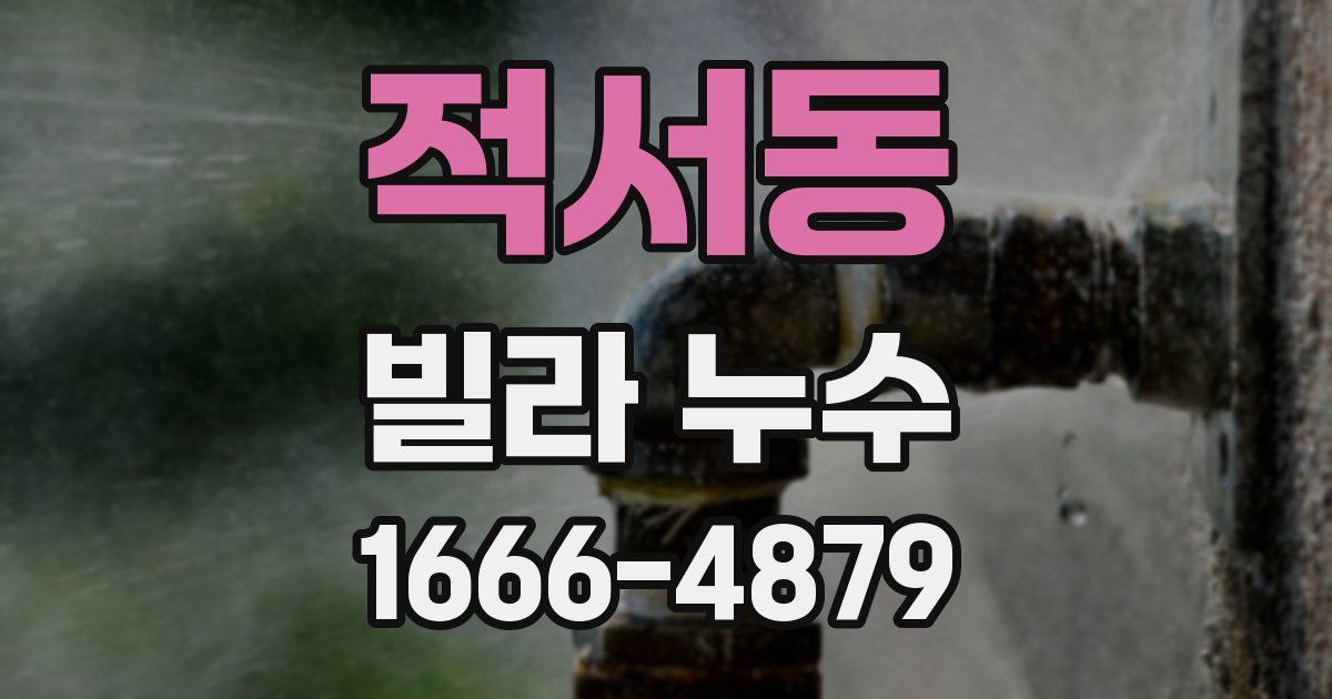 적서동 빌라 누수