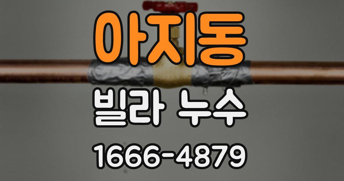 아지동 빌라 누수