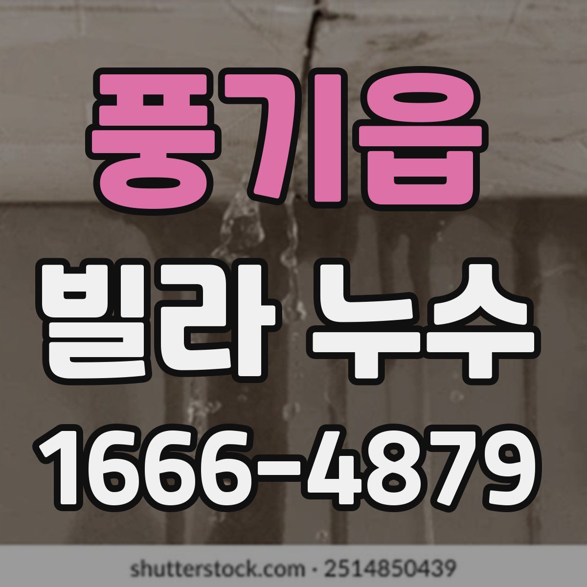 풍기읍 빌라 누수