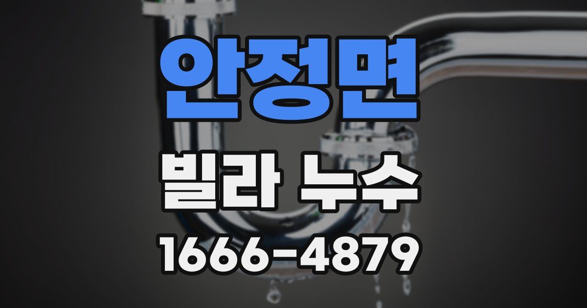 안정면 빌라 누수