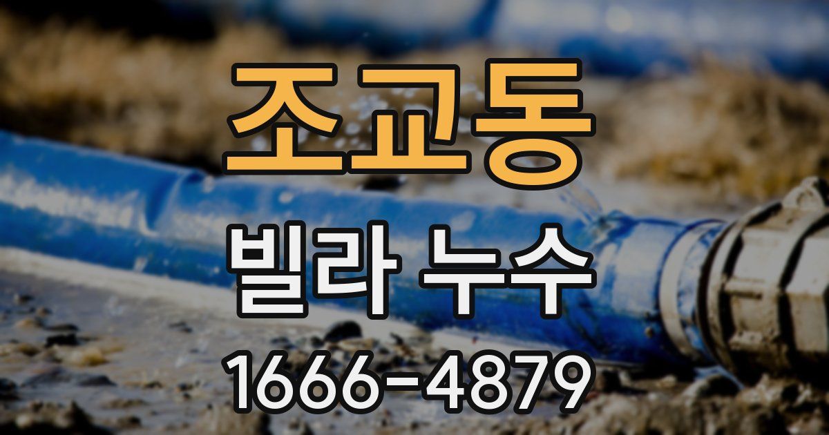 조교동 빌라 누수