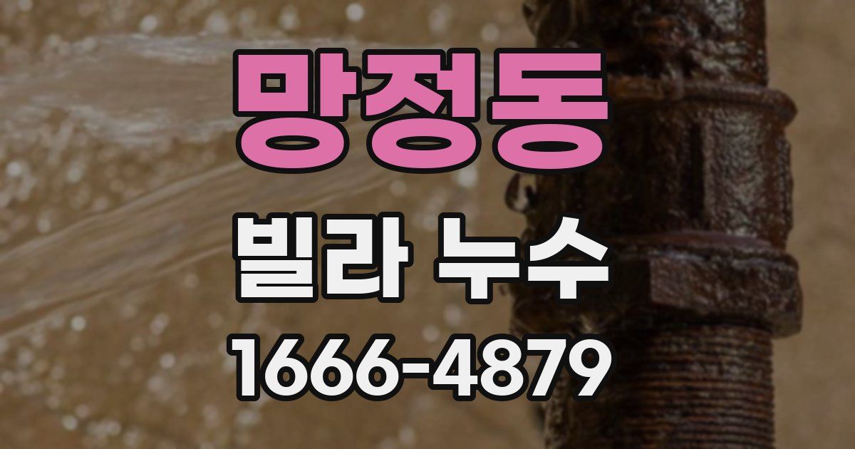 망정동 빌라 누수