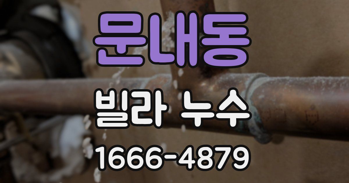 문내동 빌라 누수