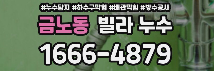 금노동 빌라 누수