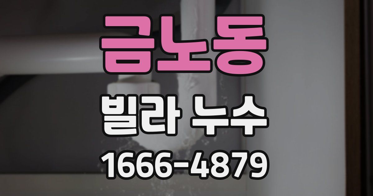 금노동 빌라 누수
