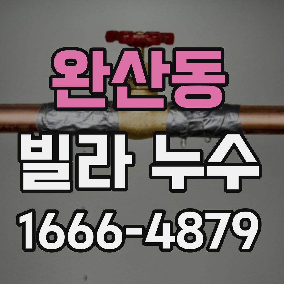 완산동 빌라 누수
