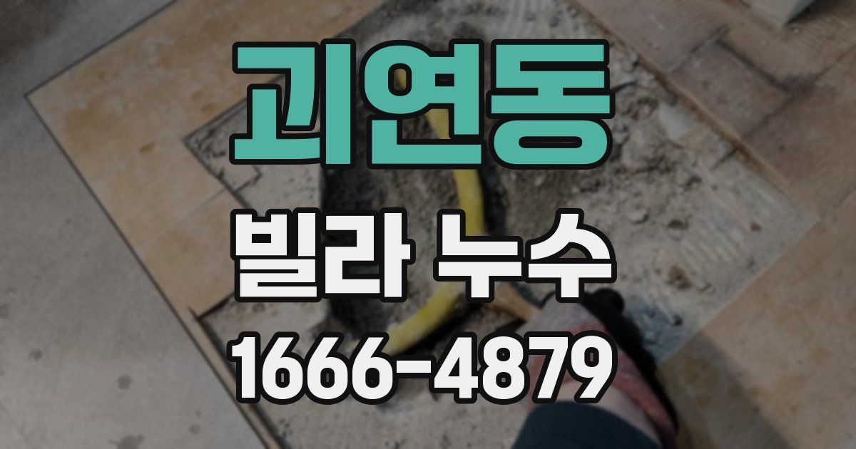 괴연동 빌라 누수