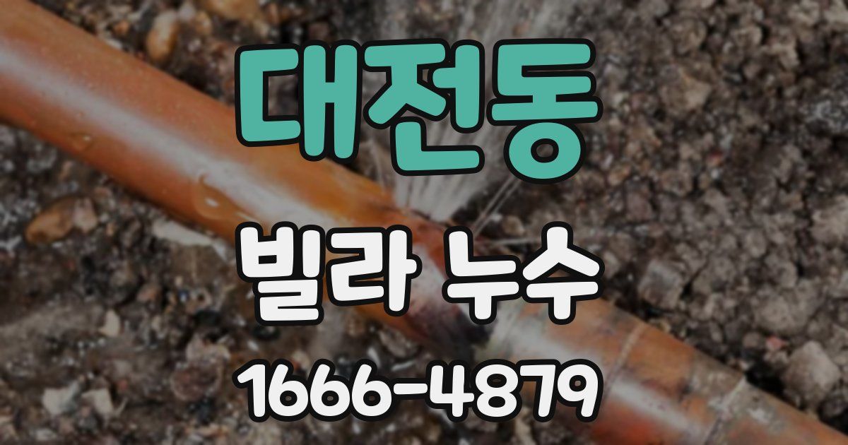 대전동 빌라 누수
