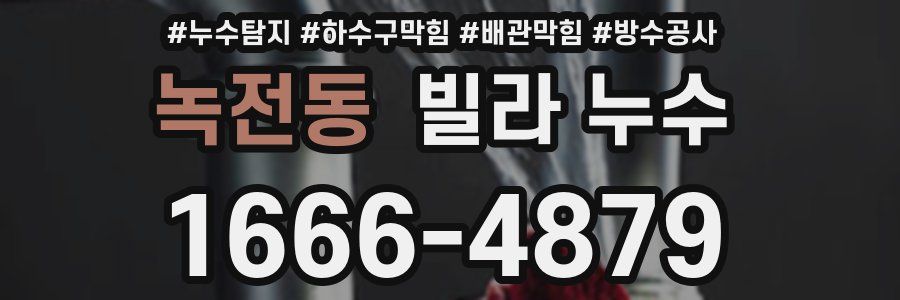 녹전동 빌라 누수
