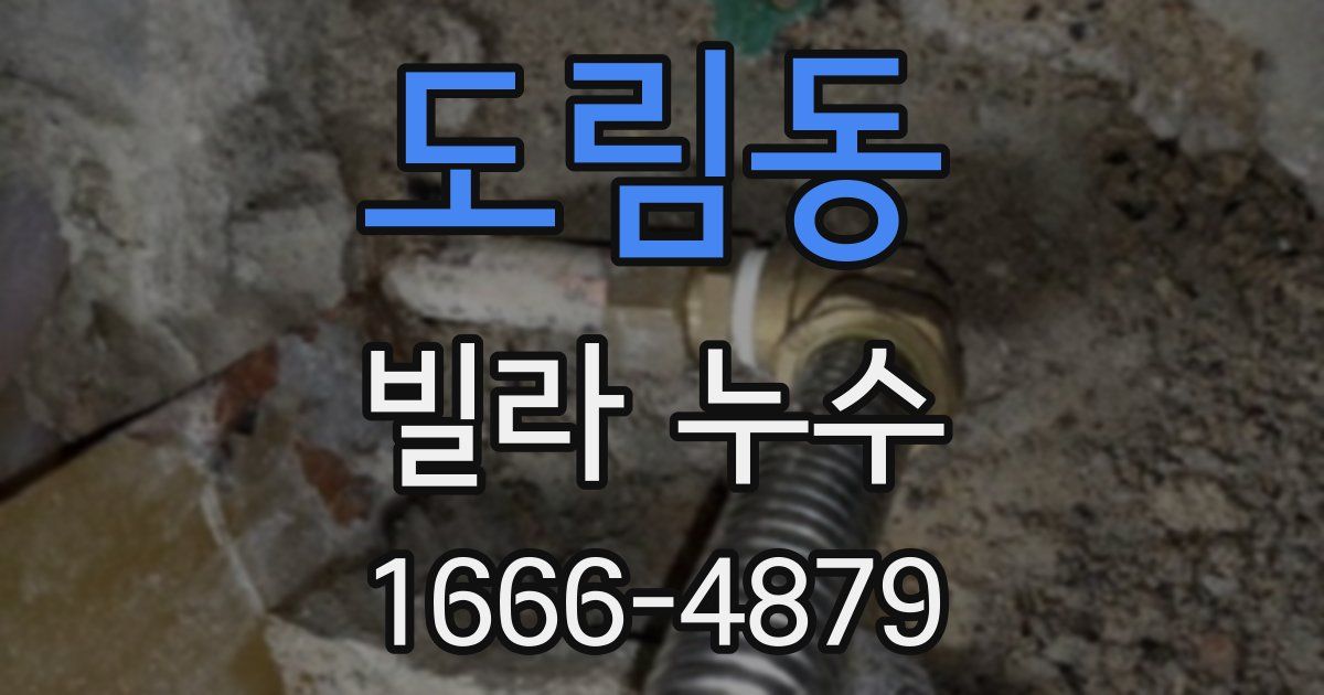 도림동 빌라 누수