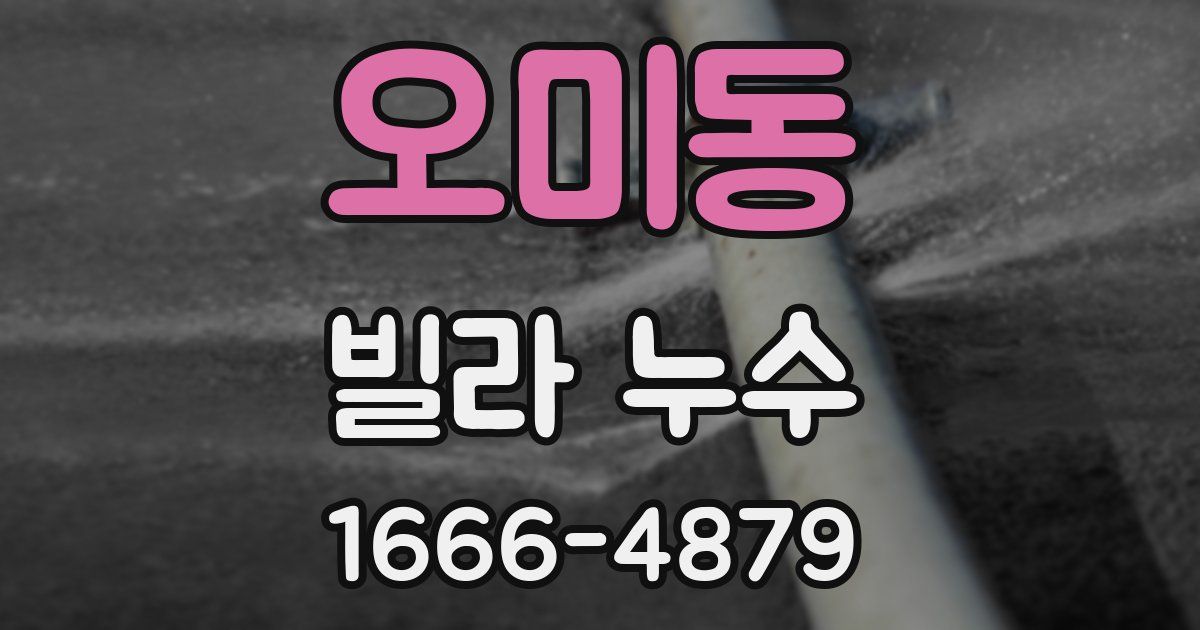 오미동 빌라 누수