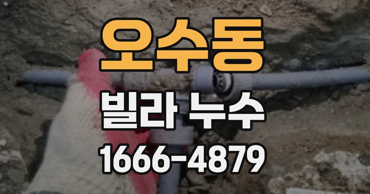 오수동 빌라 누수