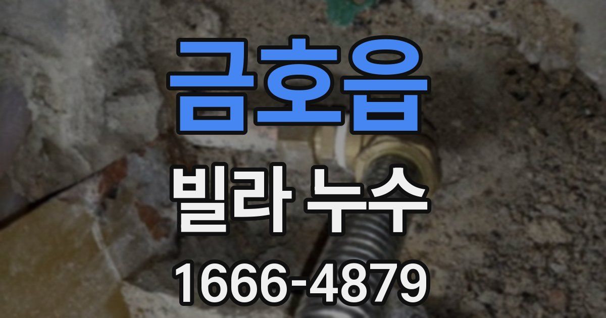 금호읍 빌라 누수