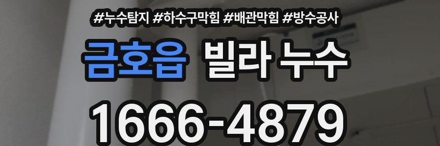 금호읍 빌라 누수