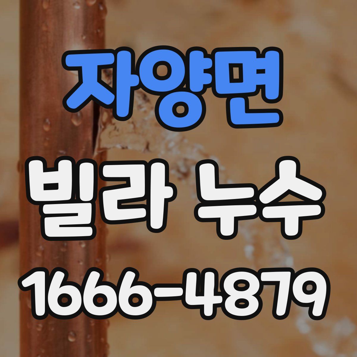 자양면 빌라 누수