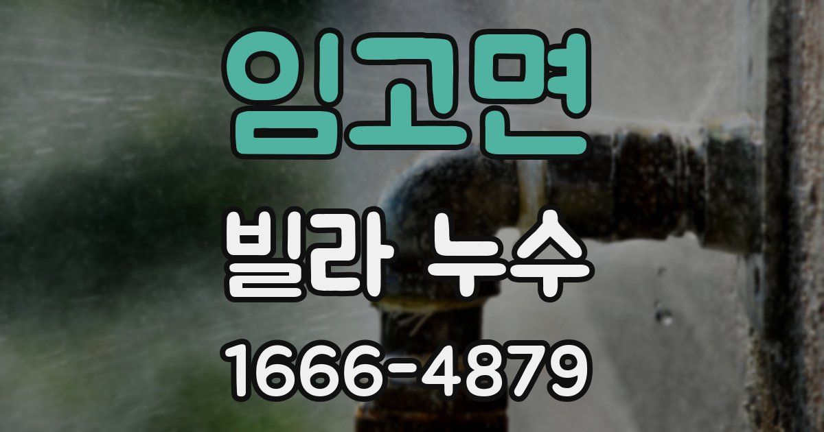 임고면 빌라 누수