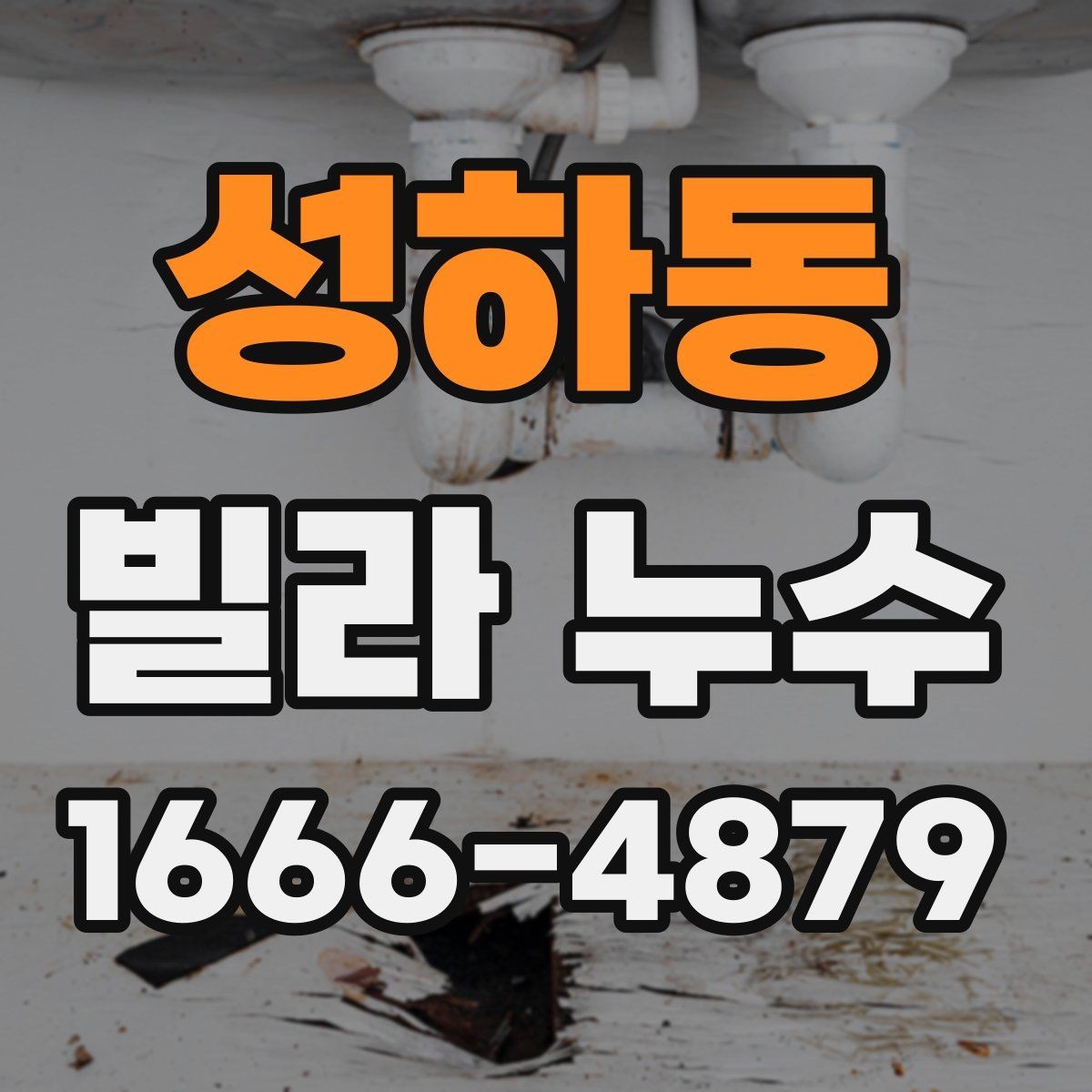 성하동 빌라 누수 실내 곰팡이와 함께 볼 문제들