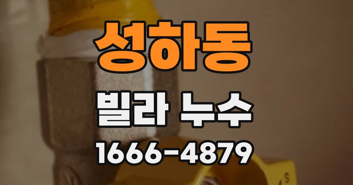 성하동 빌라 누수