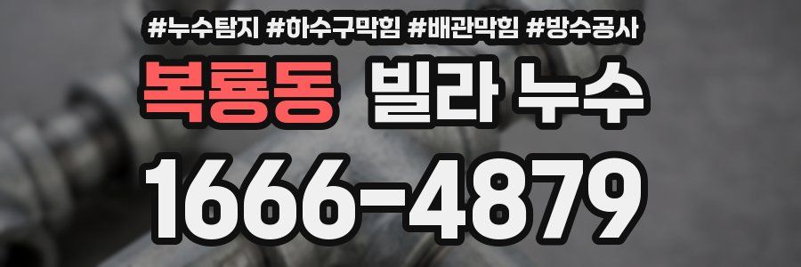 복룡동 빌라 누수