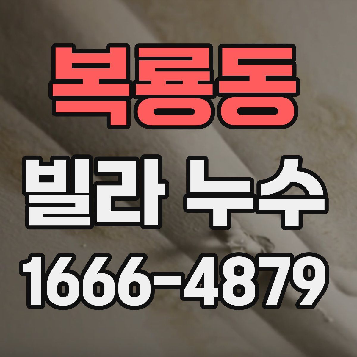 복룡동 빌라 누수