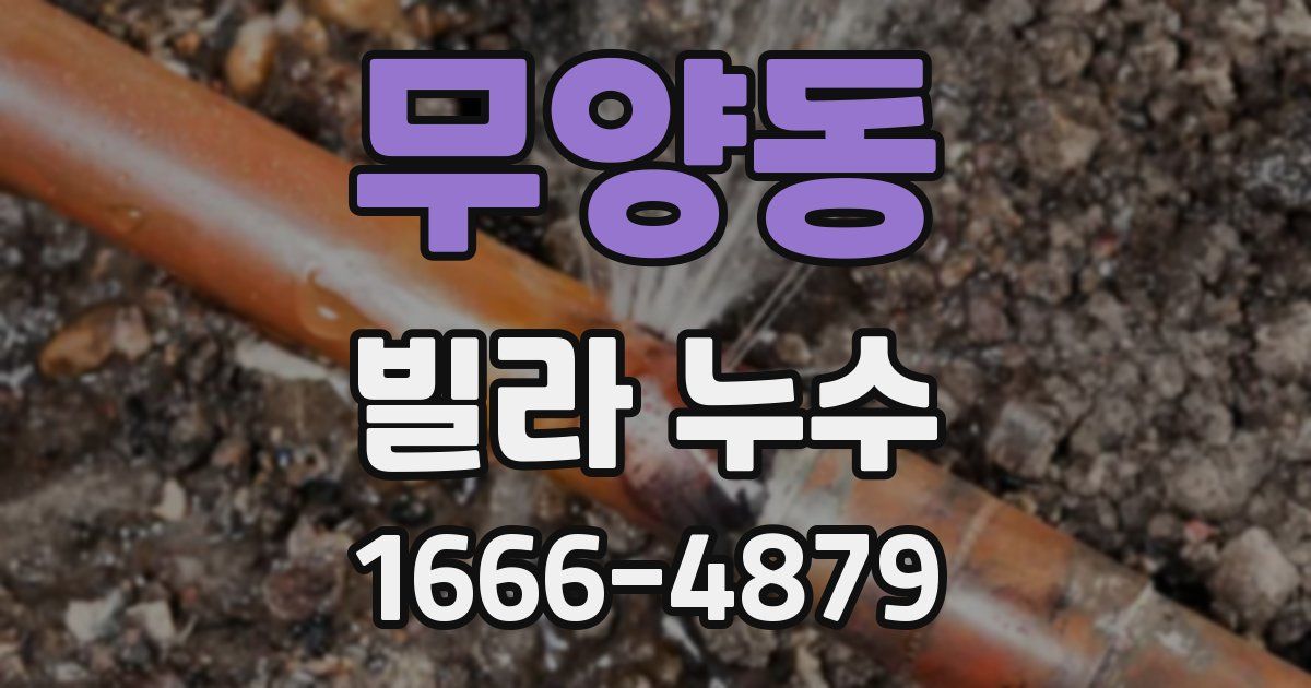 무양동 빌라 누수