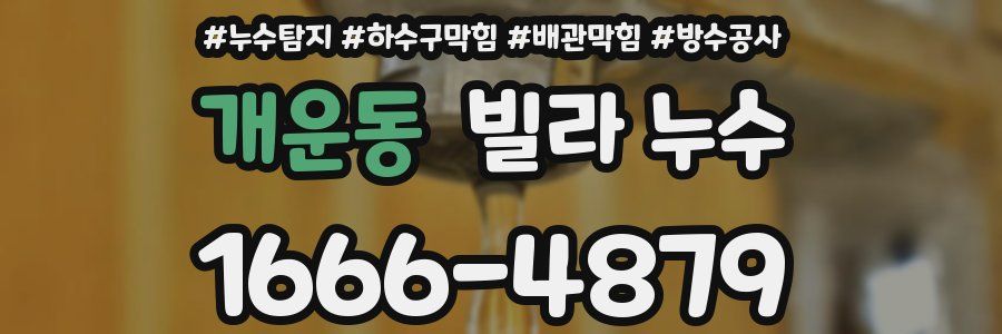 개운동 빌라 누수