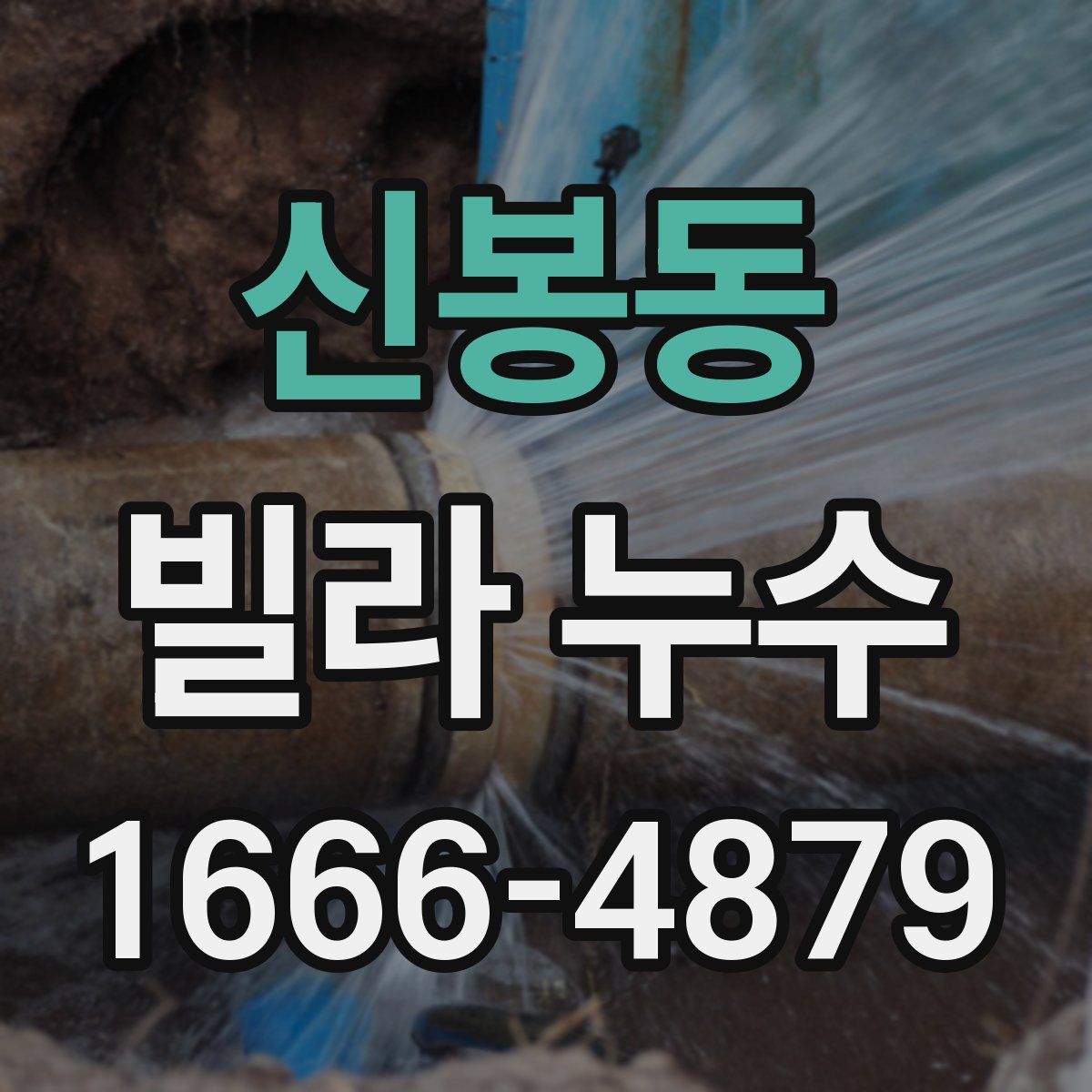 신봉동 빌라 누수