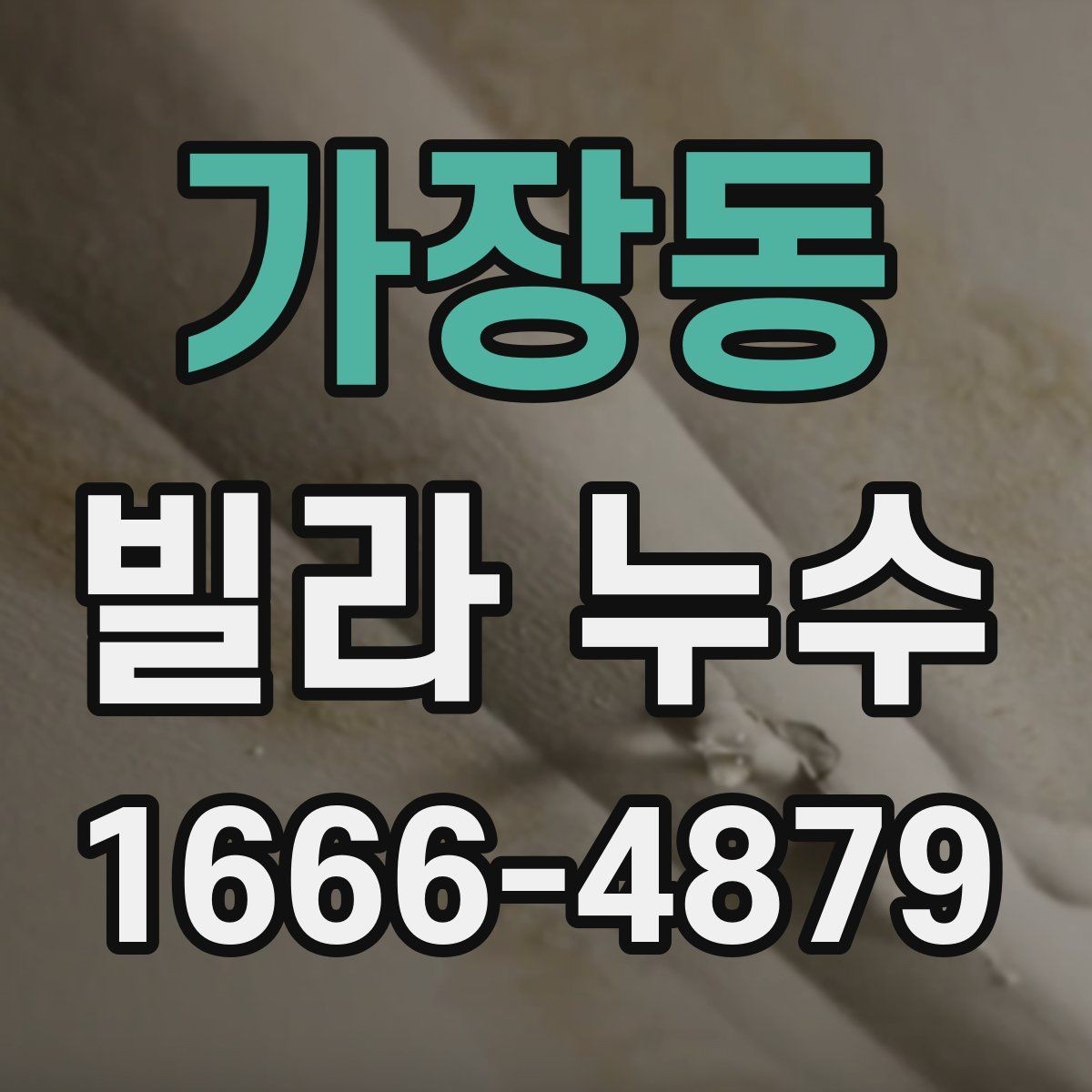 가장동 빌라 누수 계단실과 공용 공간도 점검해야 하는 이유