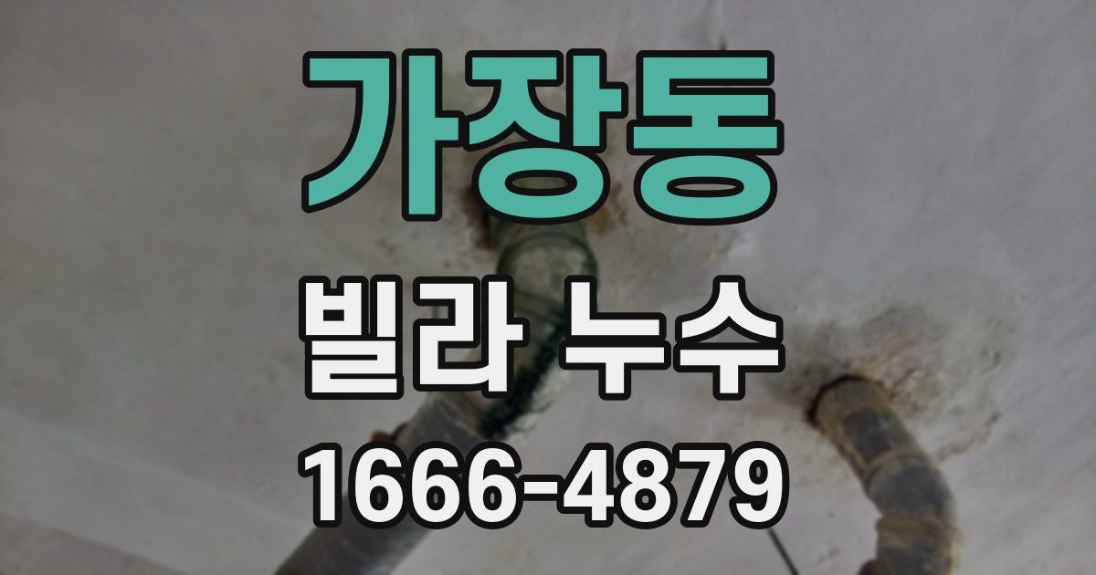 가장동 빌라 누수