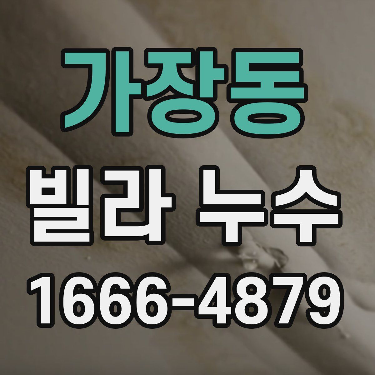 가장동 빌라 누수