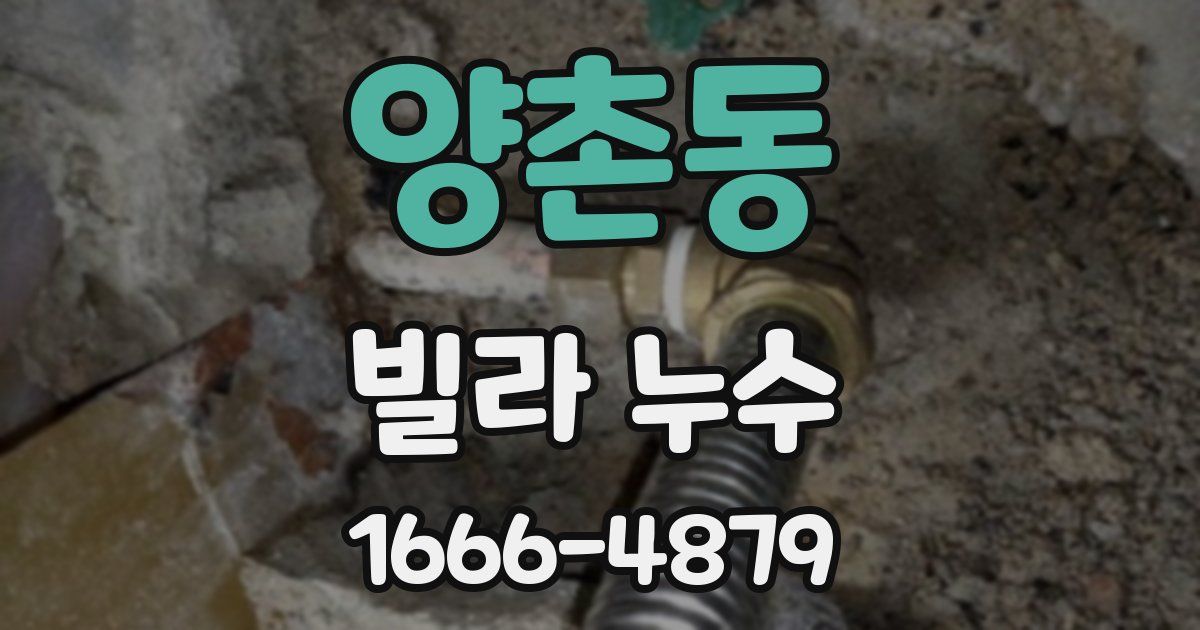 양촌동 빌라 누수