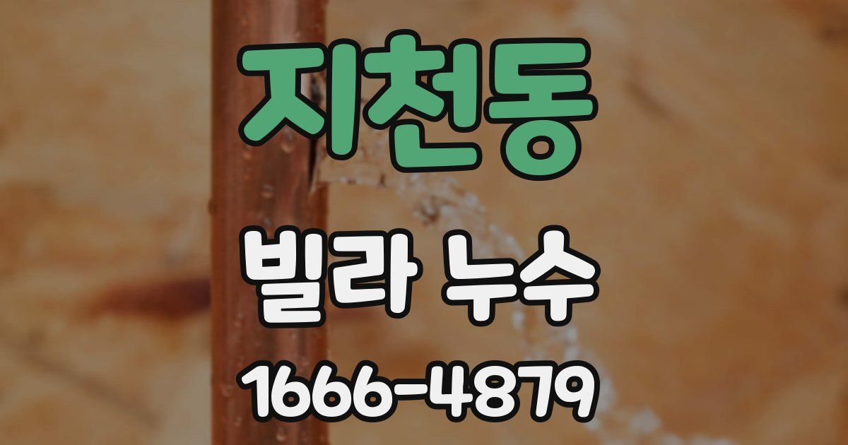 지천동 빌라 누수