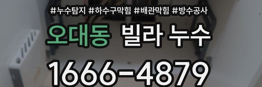 오대동 빌라 누수