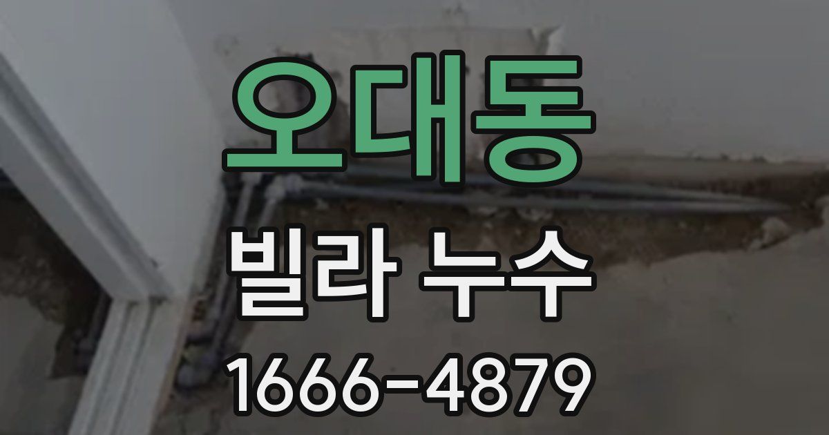 오대동 빌라 누수