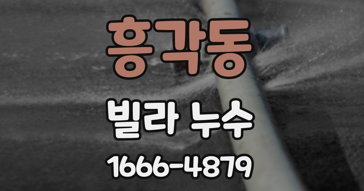흥각동 빌라 누수