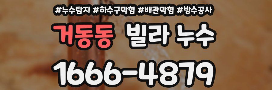 거동동 빌라 누수