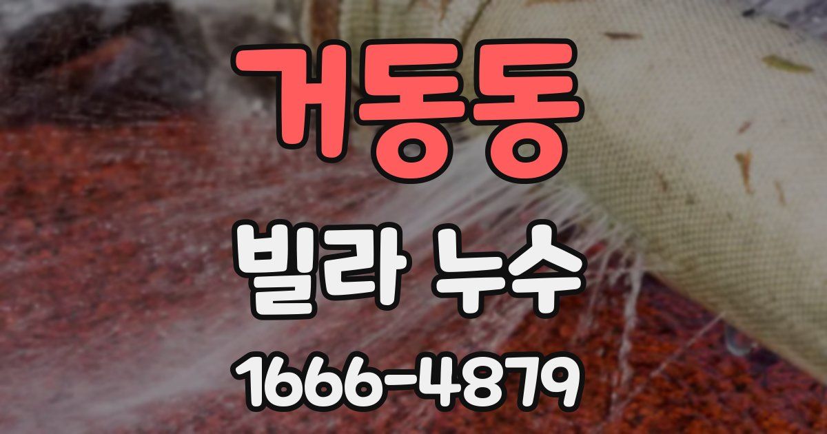 거동동 빌라 누수