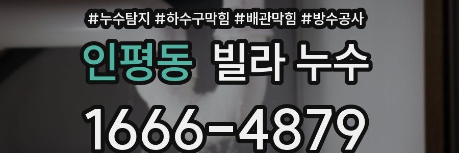 인평동 빌라 누수