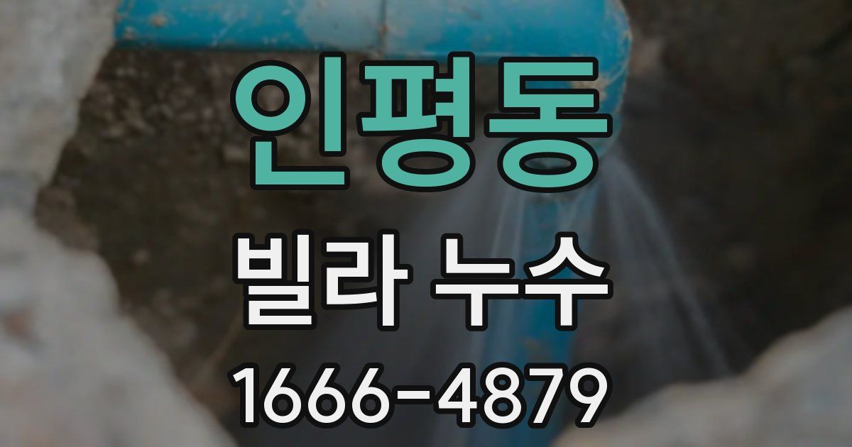 인평동 빌라 누수
