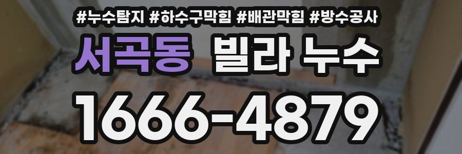 서곡동 빌라 누수