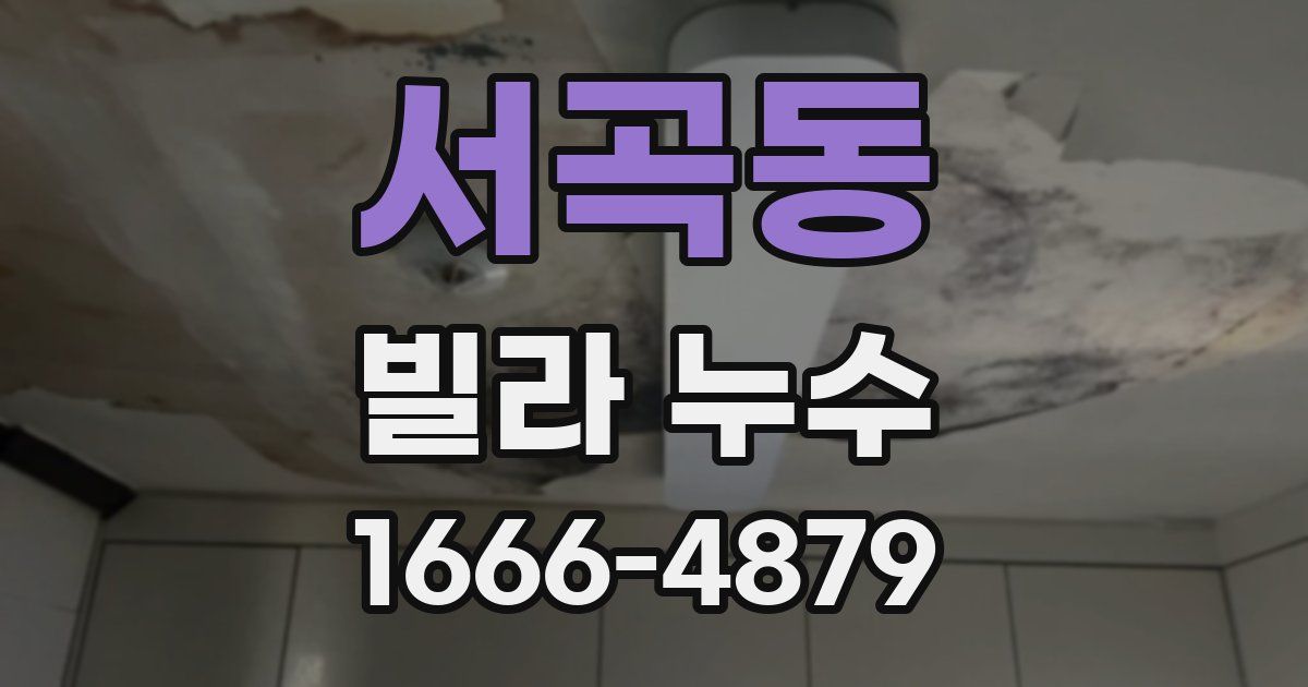 서곡동 빌라 누수