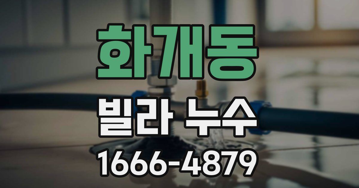 화개동 빌라 누수