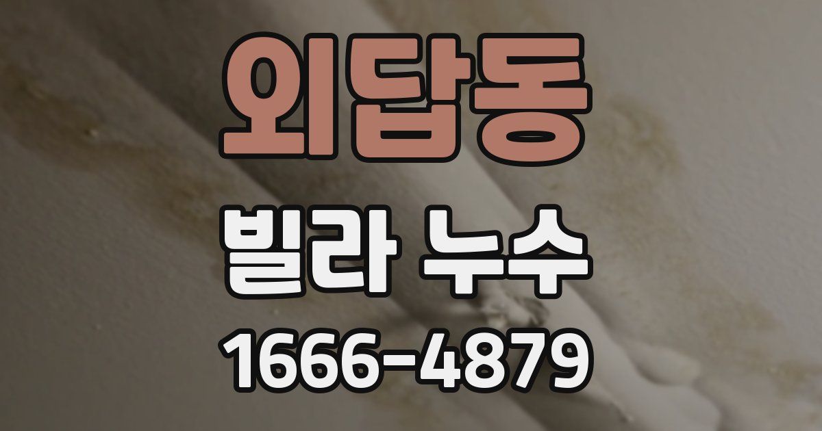외답동 빌라 누수